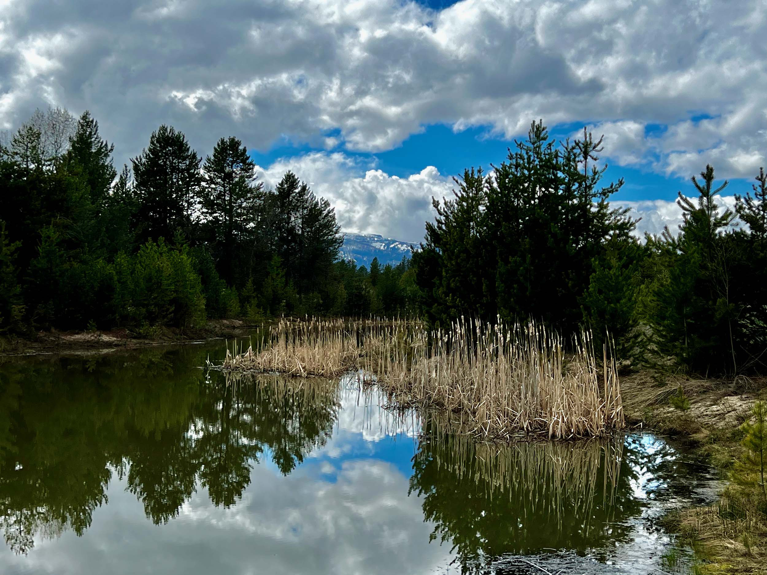 Cascade Lake Realty Whispering Pines